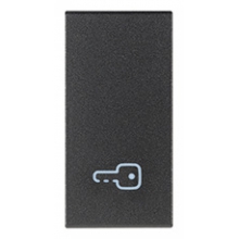 TASTO INTERCAMBIABILE 1 MODULO SIMBOLO CHIAVE ILLUMINABILE GRIGIO - VIMAR 19021.P product photo