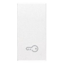 EIKON-TASTO 1M SIMB.CHIAVE ILLUMIN.BIANCO - VIMAR 20021.P.B - VIMAR 20021.P.B product photo