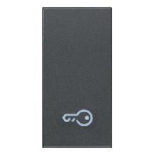TASTO 1M SIMBOLO CHIAVE GRIGIO - VIMAR 20021.P product photo