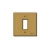 PLACCA 1 MODULO OTTONE CON VITI SERIE 8000 - VIMAR 08505.OT product photo Photo 01 2XS