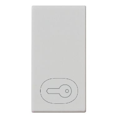 TASTO 1 MODULO SIMBOLO CHIAVE SILVER - VIMAR 14021.P.SL product photo Photo 01 3XL