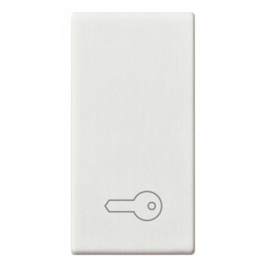 CORPITASTO 1 MODULI SIMBOLO CHIAVE BIANCO SERIE PLANA - VIMAR 14021.P product photo Photo 01 3XL