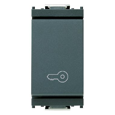 PULSANTE 1P NO 10A CHIAVE GRIGIO - VIMAR 16080.P product photo Photo 01 3XL