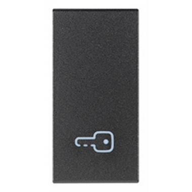 TASTO INTERCAMBIABILE 1 MODULO SIMBOLO CHIAVE ILLUMINABILE GRIGIO - VIMAR 19021.P product photo Photo 01 3XL