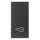 TASTO INTERCAMBIABILE 1 MODULO SIMBOLO CHIAVE ILLUMINABILE GRIGIO - VIMAR 19021.P product photo