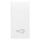 EIKON-TASTO 1M SIMB.CHIAVE ILLUMIN.BIANCO - VIMAR 20021.P.B - VIMAR 20021.P.B product photo