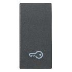 TASTO 1M SIMBOLO CHIAVE GRIGIO - VIMAR 20021.P product photo