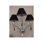 APPL.2LUCI CON PARALUME product photo