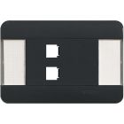 BTNET - PLACCA AUTOPORT.2P GRIGIO LIVING - BTICINO C9802/TGR - BTICINO C9802/TGR product photo