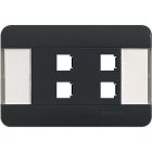 BTNET - PLACCA AUTOPORT.4P GRIGIO LIVING - BTICINO C9804/TGR - BTICINO C9804/TGR product photo