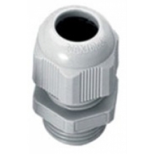 PRESSACAVO PA6.6 IP68 PG21 GRIGIO CHIARO - CEMBRE 1900.21 product photo