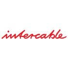 PINZA MECCANICA PER CAPICORDA 10²-150² - INTERCABLE MPR-5 - INTERCABLE MPR-5 product photo