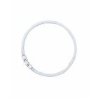 LEDAVANCE FC40840 - FC 40W/840 FS1                     OSRAM - LEDVANCE FC40840 product photo