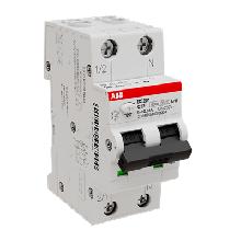 DS201 INT.DIFF.MAGN.6KA 1P+N APR C32 30MA - ABB DS201C32APR30 - ABB DS201C32APR30 product photo