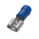 CAPIC.OTT.STAGN.BLU 1.5-2.5MM MAS.4.8X0.8MM - B.M. 00248 - B.M. 00248 - B.M. 00248 product photo Photo 01 2XS