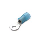 TERM IS NYLON OCC 2,5 F 6 - B.M. 80231 - B.M. 80231 - B.M. 80231 product photo