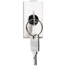 matix - deviatore 2P 16A chiave - BTICINO AM5007D product photo
