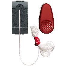 LIVING INTERNATIONAL PULSANTE 1P NO 10A A TIRANTE L4033 - BTICINO L4033 product photo