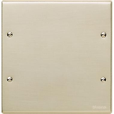 MAGIC - PLACCA CON VITI COPRISCATOLA OXIDAL - BTICINO 999 - BTICINO 999 product photo Photo 01 3XL