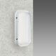 1847LEDCLDCTLGR – PLAFONIERA ORMA 1847 24X52LM CLD CELL GRIGIO - DISANO ILLUMINAZIONE 1847LED9W/GRI - DISANO ILLUMINAZIONE 1847LED9W/GRI product photo Photo 01 2XS