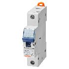 INTERRUTTORE MAGNETOTERMICO COMPATTO - 1P CURVA C 25A 4500A (EN60898) 4,5kA(EN60947-2) - 1 MODULO - GEWISS GW90009 product photo