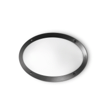 LAMPADA APPLIQUE MADDI - 1 AP1 NERO - IDEAL LUX 096704 product photo