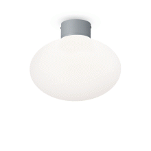 LAMPADA PLAFONIERA CLIOM PL1 GRIGIO - IDEAL LUX 148854 product photo
