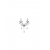 LAMPADA DA PARETE APPLIQUE COLOSSAL AP2 - IDEAL LUX 114200 product photo Photo 01 2XS