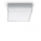 PLAFONIERA LEDIRIS PL1 D22 - IDEAL LUX 104546 product photo
