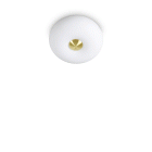 LAMPADA PLAFONIERA ARIZONA PL2 - IDEAL LUX 214498 product photo