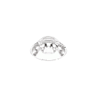 ARCA LENS 15Ø FOR PENDANT 21W - IDEAL LUX 223292 product photo
