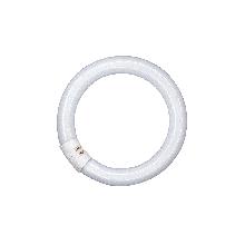 LEDAVANCE L32827CN - Lampada fluorescente speciale - LEDVANCE L32827CN product photo