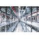 DP 1200 32W 865 IP65 GY LEDV - LEDVANCE DP120032865G3 product photo Photo 06 2XS