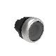 PULSANTE LUMINOSO RASATO TRASPAR. - LOVATO LPCBL107 product photo Photo 01 2XS
