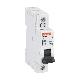 Interruttore magnetotermico 1p c 6a 10ka - LOVATO P1MB1PC06 product photo Photo 01 2XS