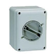 INT/SEZ.4X100A-CONT.IS MAN.GRIGIA - PALAZZOLI 209104 - PALAZZOLI 209104 product photo