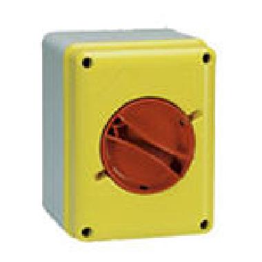 INT-SEZ.2X32A-CONT.IS MAN.GIAL-ROS - PALAZZOLI 208322 - PALAZZOLI 208322 product photo Photo 01 3XL