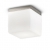 PLAFONE/PARETE IN VETRO A LED - ROSSINI ILLUMINAZIONE 3400-15-LED product photo Photo 01 2XS