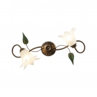 APPLIQUE MARRONE 2 LUCI - ROSSINI ILLUMINAZIONE CIL104MA product photo