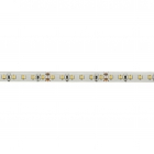 STRIPLED 24W/M 24V IP20 CRI95 27K - ROSSINI ILLUMINAZIONE DAI036 product photo