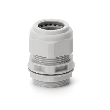 LIGHT PRESSACVO C/DADO PG11 - SCAME PARRE 8053342 - SCAME PARRE 8053342 product photo Photo 01 3XL