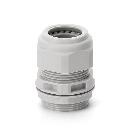 LIGHT PRESSACVO C/DADO PG11 - SCAME PARRE 8053342 - SCAME PARRE 8053342 product photo