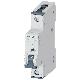 INT. MT 1P C25 ICN 6KA ICU 15KA - SIEMENS 5SY61257 - SIEMENS 5SY61257 product photo Photo 01 2XS