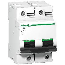 Interruttore magnetotermico C120N 2P C 125A 10000A - SCHNEIDER ELECTRIC A9N18363 product photo