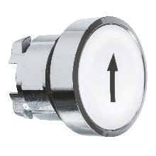 Testa pulsante D. 22  - ad impulso - filoghiera - bianca - freccia su - SCHNEIDER ELECTRIC ZB4BA334 product photo