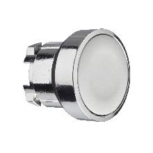 Testa pulsante D. 22  - ad impulso - filoghiera - grigia - senza marcatura - SCHNEIDER ELECTRIC ZB4BA8 product photo