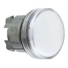 TESTA LAMPADA SPIA BIANCA - SCHNEIDER ELECTRIC ZB4BV01 - SCHNEIDER ELECTRIC ZB4BV01 - SCHNEIDER ELECTRIC ZB4BV01 product photo