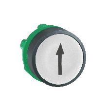 Testa pulsante D.22 - ad impulso - bianca - filoghiera - freccia su - SCHNEIDER ELECTRIC ZB5AA334 product photo