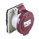 Presa fissa BTS da incasso IP44 16A 24V 50Hz 2P - SCHNEIDER ELECTRIC 82901 product photo Photo 01 2XS