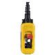 Pulsantiera pensile XAC-A - 2 pulsanti - 1 pulsante arresto di emergenza - SCHNEIDER ELECTRIC XACA2713 product photo Photo 01 2XS